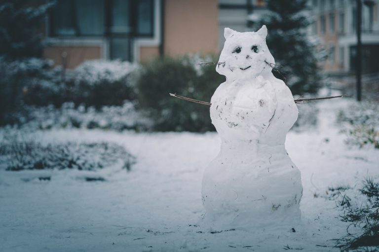 Stuur ons jouw mooiste sneeuwfoto