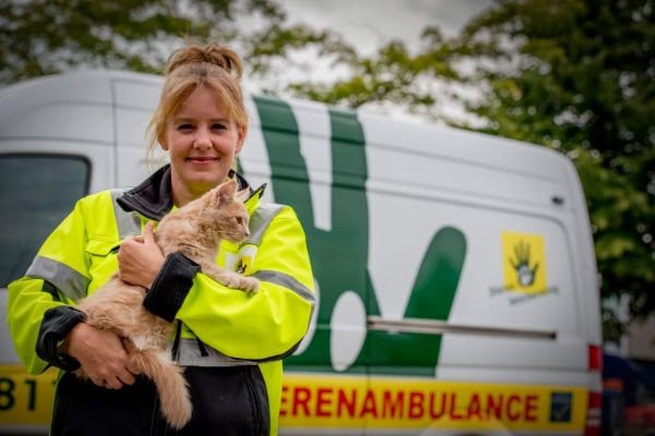 Dierenambulance stopt per 1 april met rijden in de gemeente Kampen