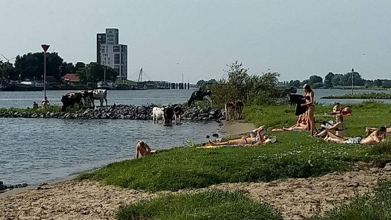 Ingezonden brief:  Stoute bestuurders geven “Groen licht voor strandtent Hanzezicht”