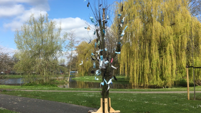 Mondkapboom duikt op in Stadspark