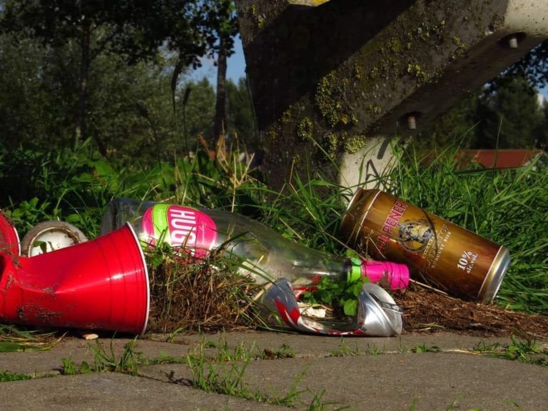 Schoonmaakactie Stadspark