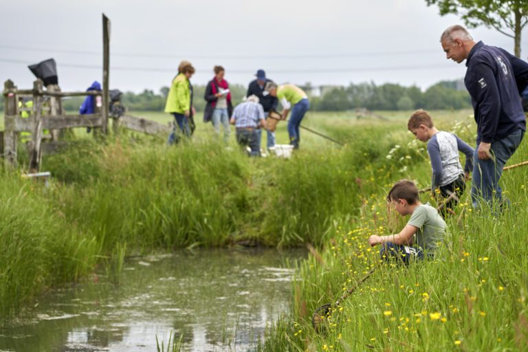 Hoe gezond zijn Overijsselse sloten? Kinderen onderzoeken dit tijdens de IVN Slootjesdagen