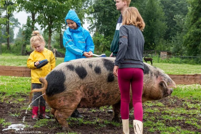 Hebben jullie altijd al op de boerderij willen slapen, dan is dit je kans.