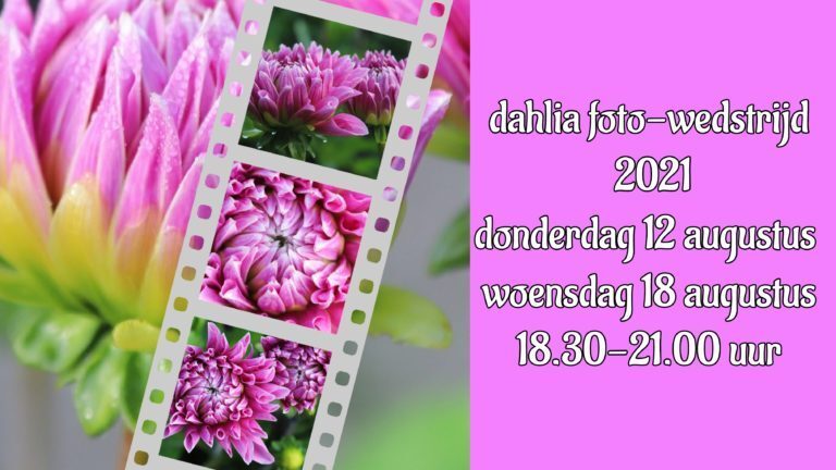 Dahlia fotowedstrijd met leuke prijzen!