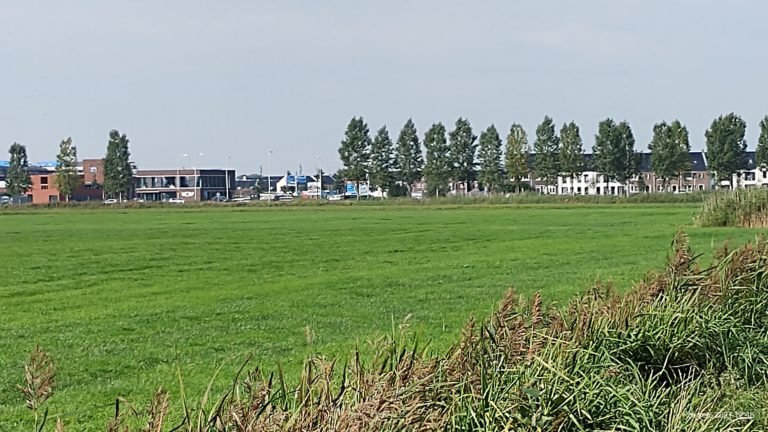 Oprichting vier nieuwe basisscholen Reevedelta