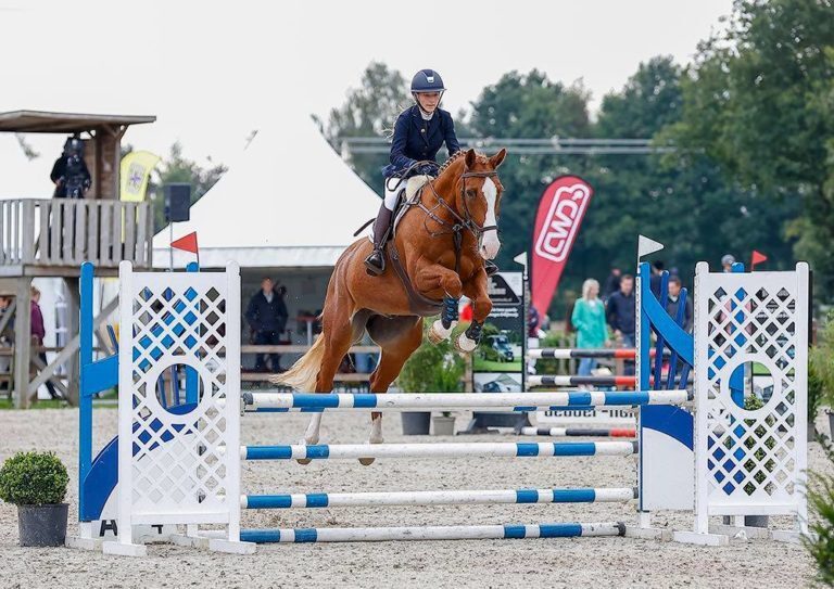 Paardenruiters van de Deltaruiters succesvol dit weekend