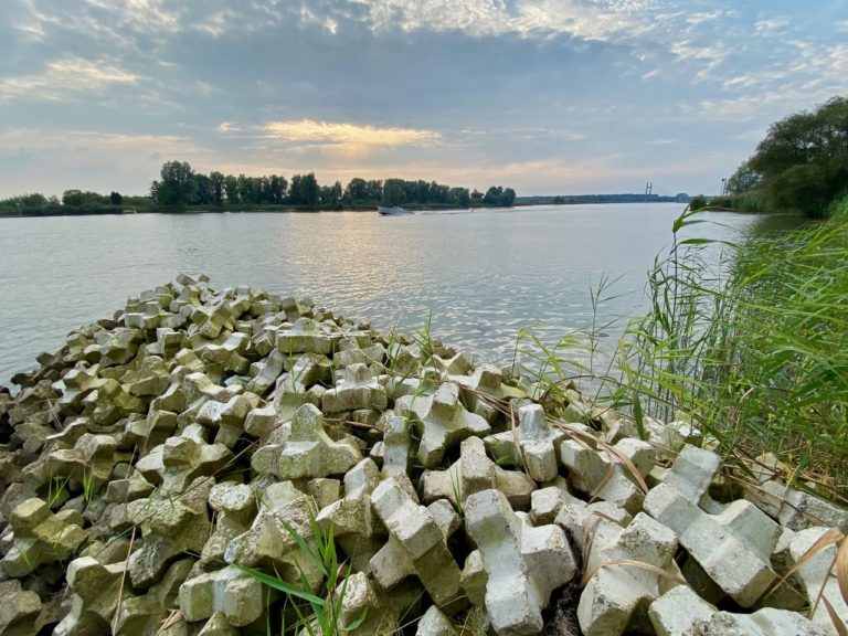 Hoopvolle proef rivierkrib Kampen zonder geotextiel