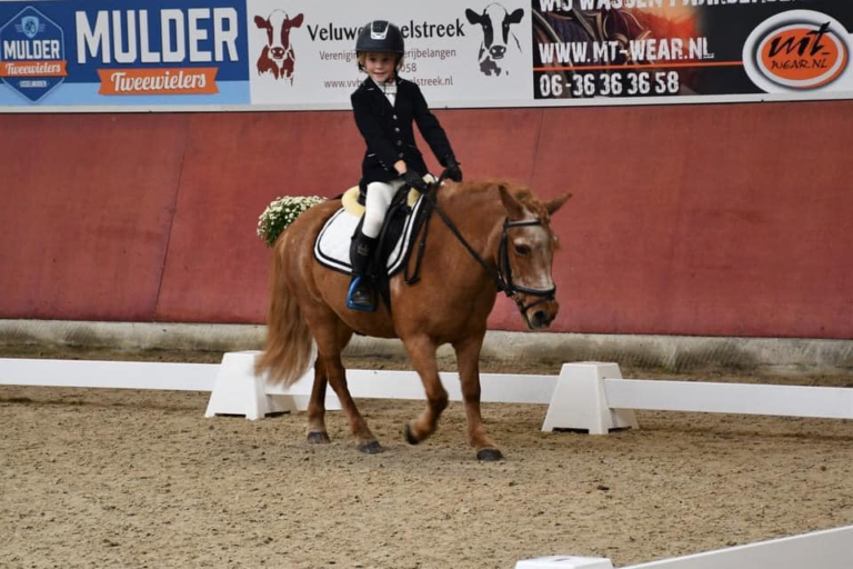 Uitslagen paardensport Deltaruiters