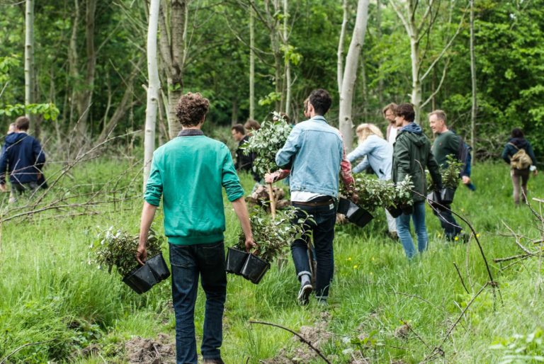 Lokaal aan de slag: gemeenten cruciaal voor groene ambities