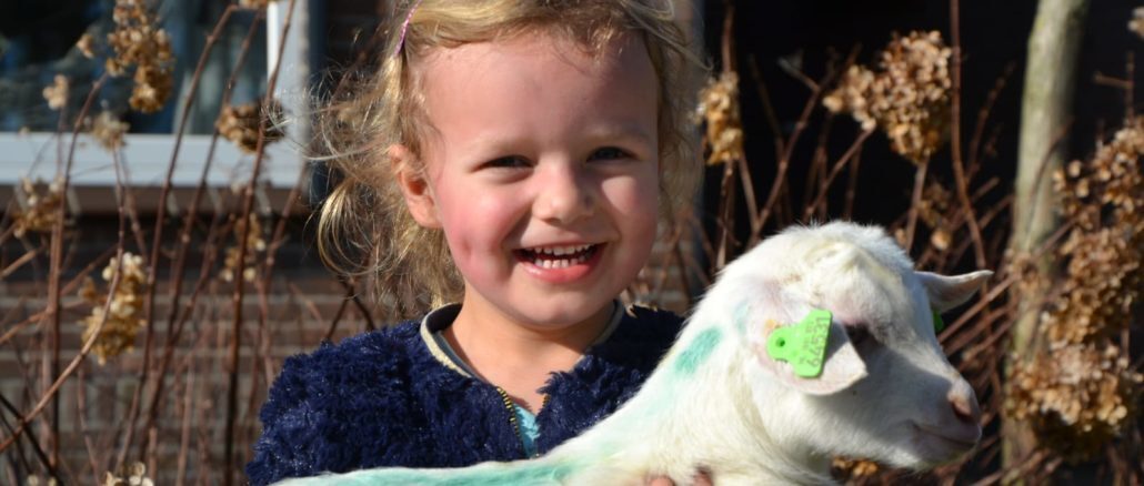 foto Twiegweerd kind met lammetje