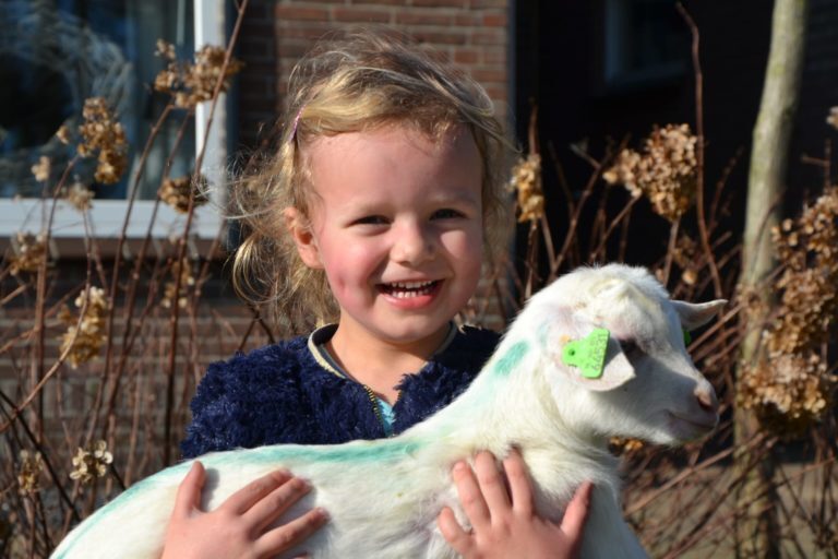 Herfstvakantie met Lammetjesdag en BoerEn Bootcamp