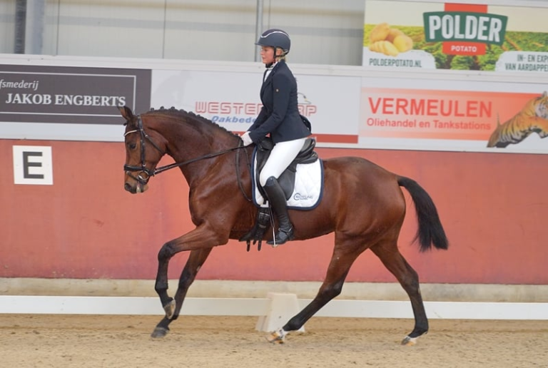 Uitslagen van de Deltaruiters Samen Sterk dressuurcompetitie en springconcours de Zilveren Ui