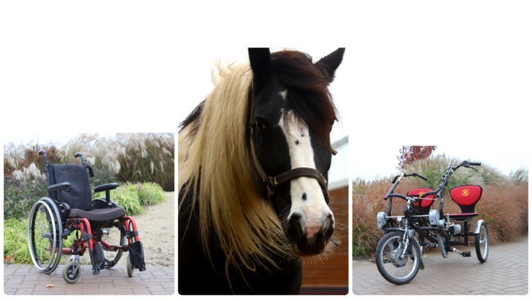 Wandelen, paardrijden of fietsen, help je mee?