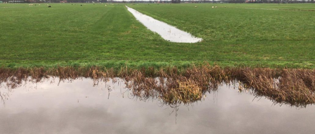Hoge-waterpeilen1