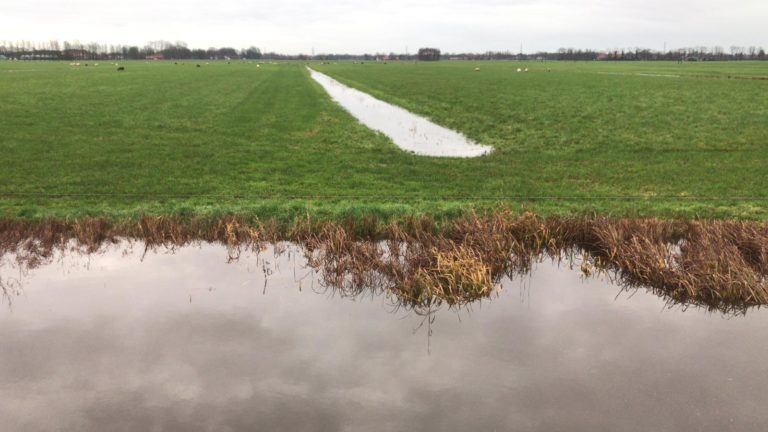 Waterschap werkt volle bak door regen en storm