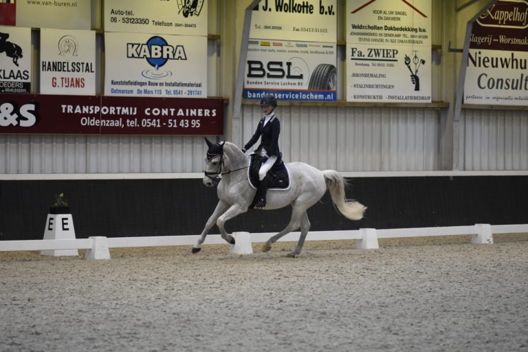 uitslagen paardensport Deltaruiters o.a. Overijsselse kampioenschappen