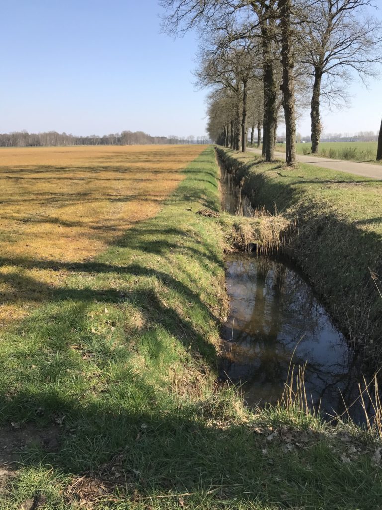 Waterschap zet controle ‘gele percelen’ voort