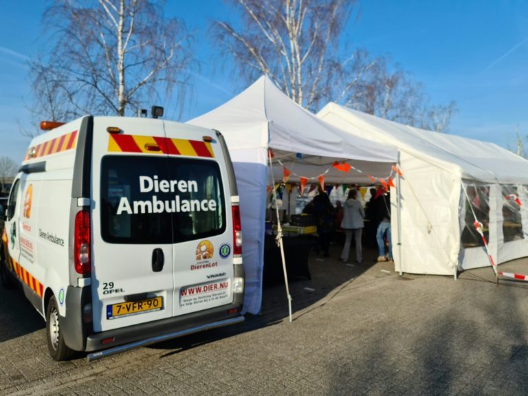 Vrijwilligersdagen Dierenasiel zeer geslaagd tijdens DierenASIEL DOET dagen