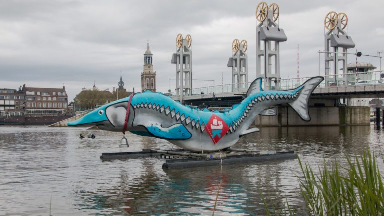 Kamper Steur terug in het water