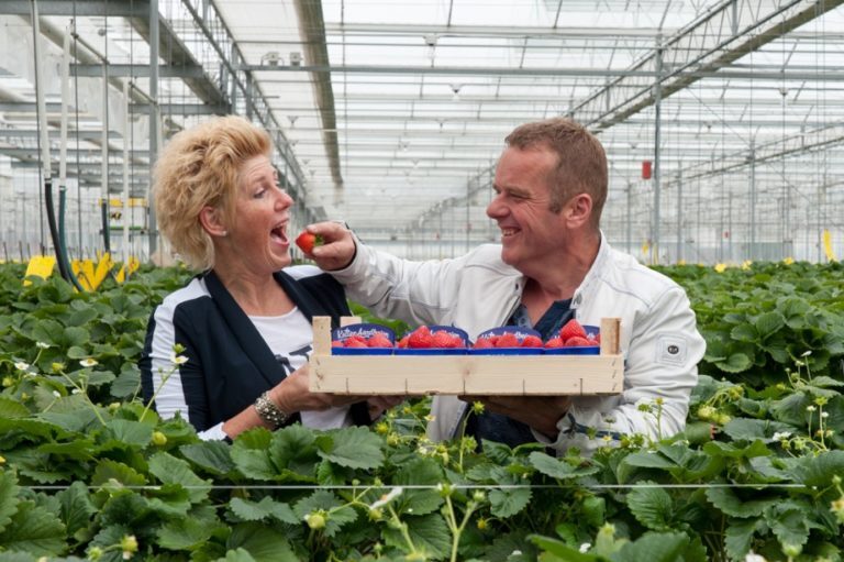 Kalteraardbeien sluit definitief de deuren op 15 juni