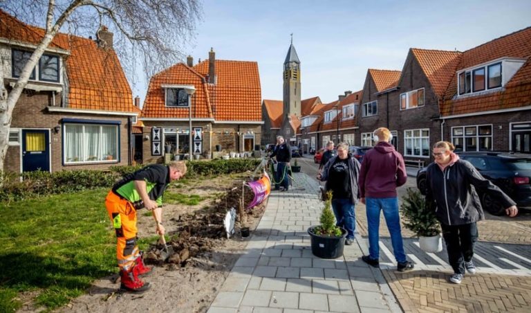 Gratis planten voor stoeptuinen in Kampen en omliggende dorpen