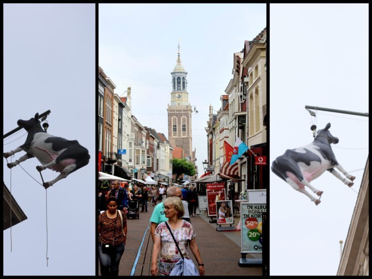 De koe hangt weer in de Nieuwe Toren, eerste Kamper Ui-dag gestart