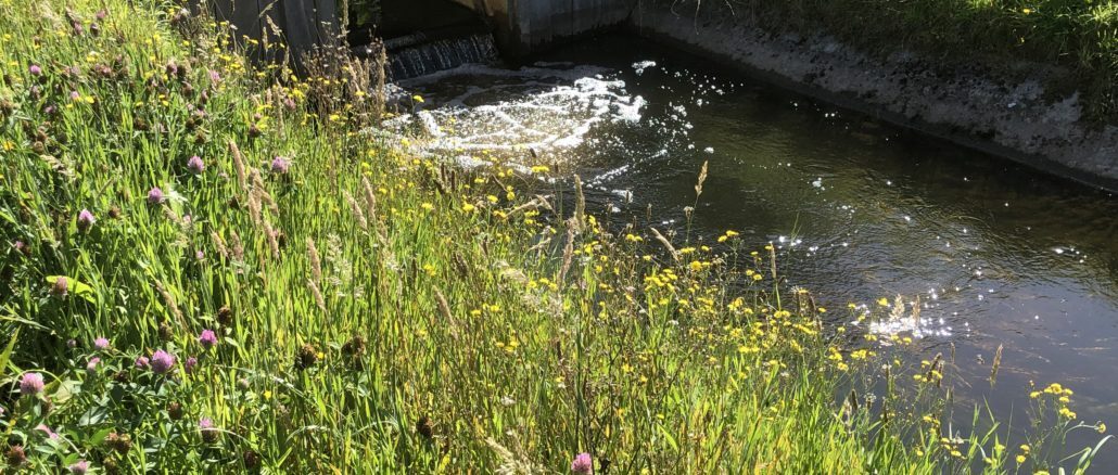 Foto - Wateraanvoer in het buitengebied van Nieuwleusen