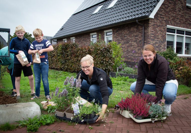 43 buurtinitiatieven uit Kampen maken hun straat groen tijdens Burendag