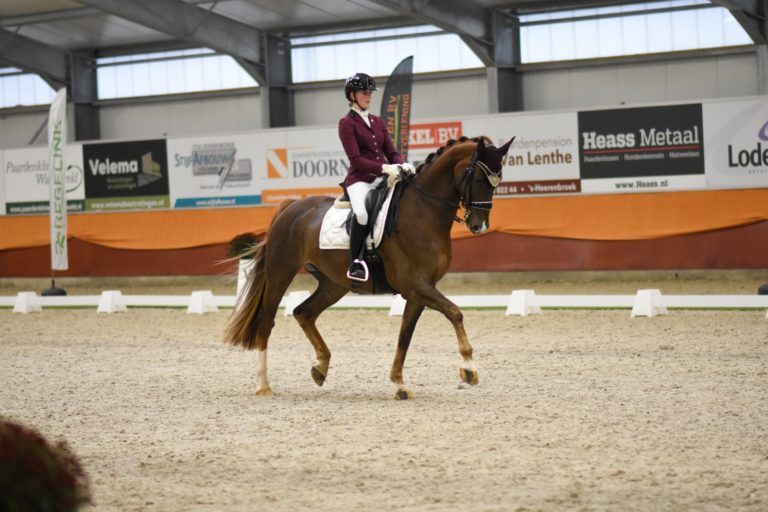 De laatste selectie wedstrijden en finale-dag bij de Deltaruiters.