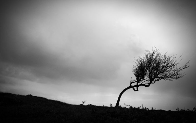 Kampenaar Jan Moes exposeert op Ameland