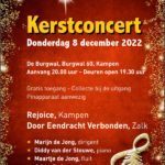 flyer concert