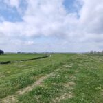 IMG_20210728_105116648_HDR