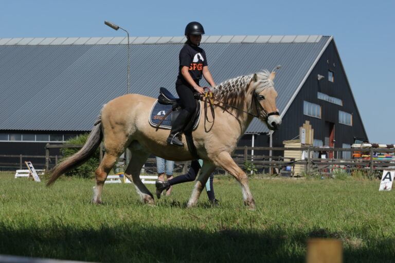 Onbeperkt met paarden: dagbesteding en paardrijden bij de SPGIJ