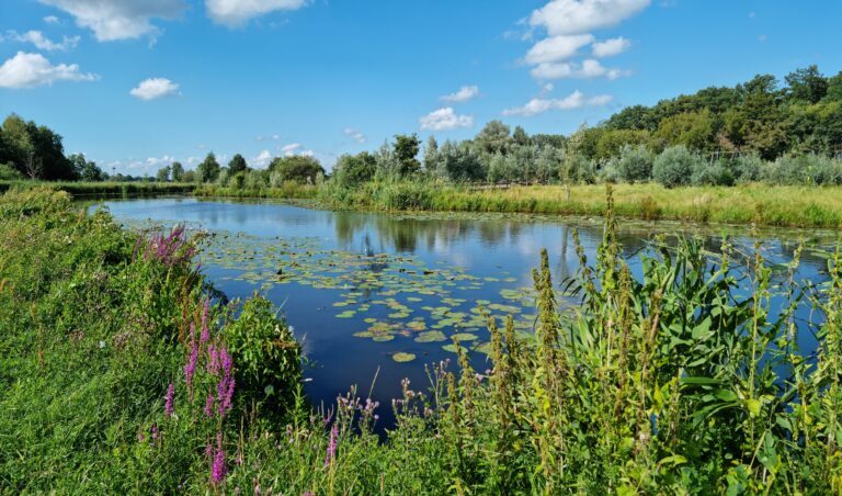 Neerslag geeft verlichting, waterschap blijft op haar hoede