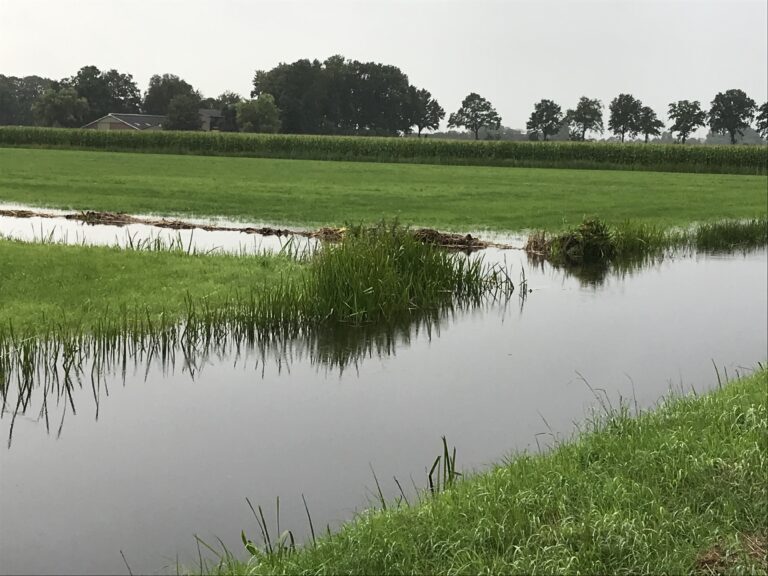 Waterschapshanden extra uit de mouwen door hoge waterstanden