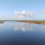 Reevediep