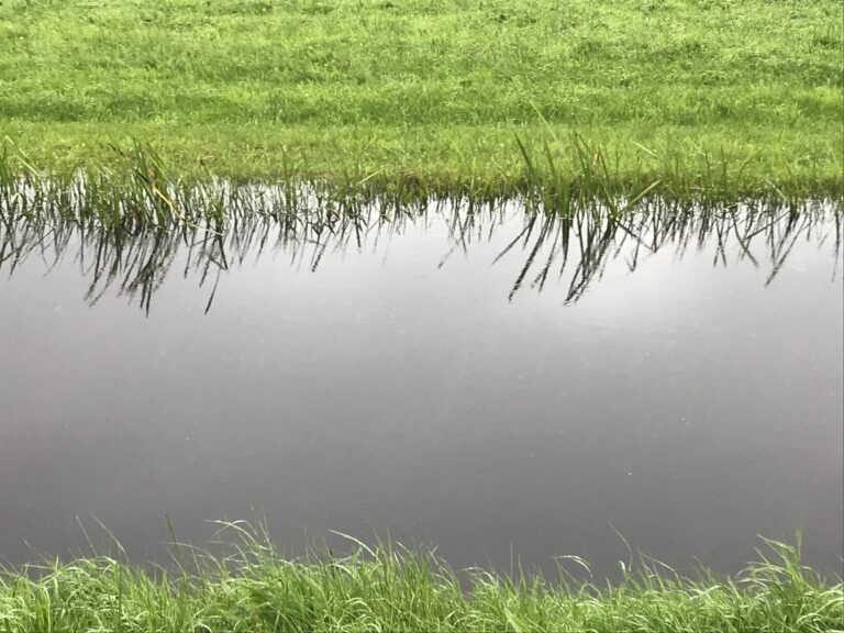 Grondwater stijgt als een raket, bodem is verzadigd