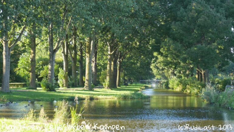 Het belang van een gezonde stad en hoe dit bereikt kan worden