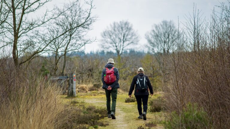 Ruim 200 Vrijwilligers Actief op Kampenvoorelkaar.nl in Slechts Vier Maanden