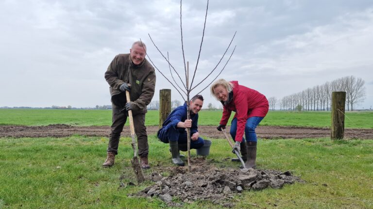 IJsselheem: bomen voor bloemen