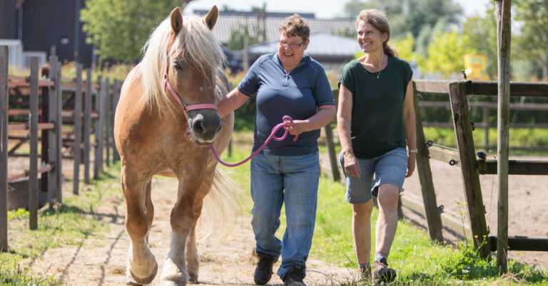 Open Dag bij Stichting Paardrijden Gehandicapten IJsselmuiden: Ontdek de Mogelijkheden