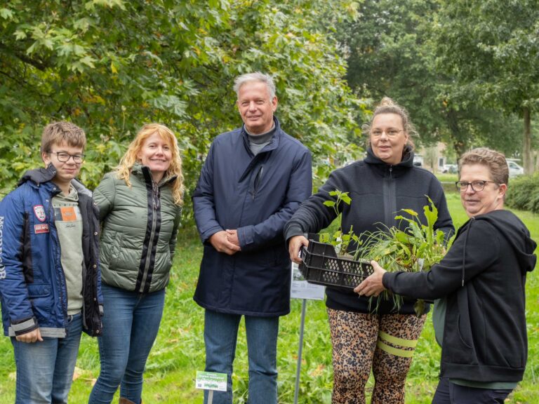 Straten Vergroend met Insectvriendelijke Planten